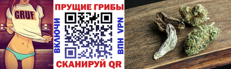где купить наркотик Глазов Галлюциногенные грибы прущие грибы